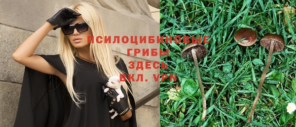 spice Алзамай