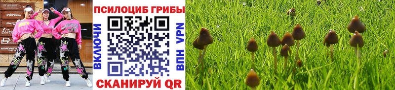 Галлюциногенные грибы GOLDEN TEACHER  Фатеж 